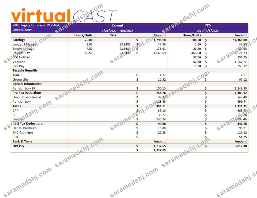 video conferencing company payroll template in Word and PDF formats